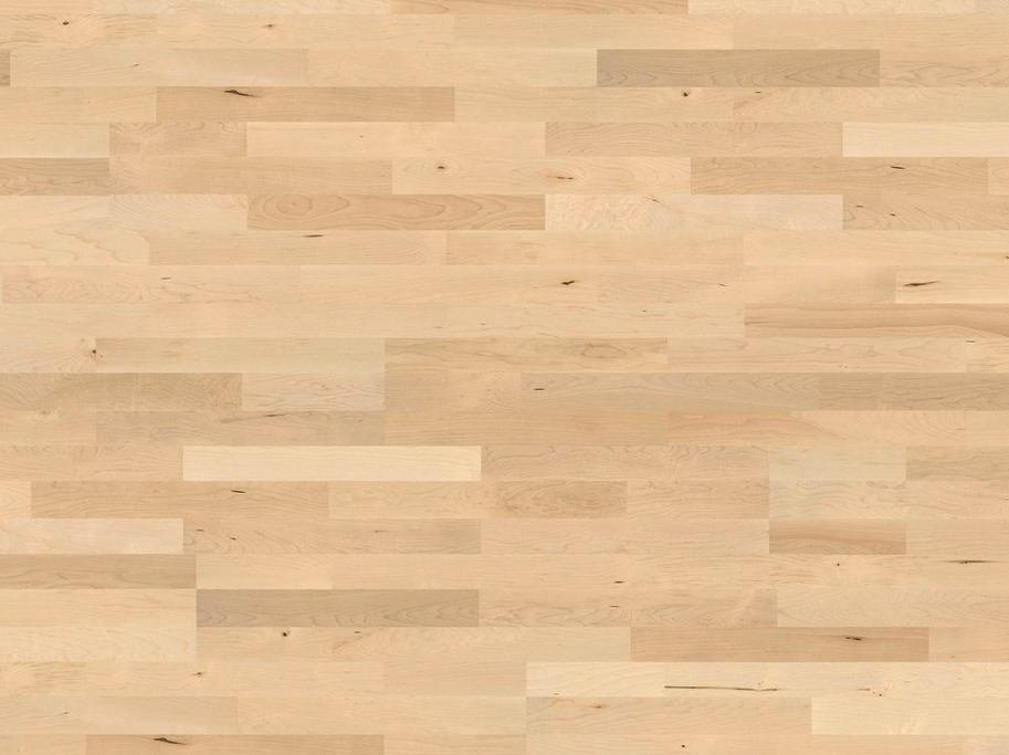 HARO Parketgulv 3-stav - Canadisk Ahorn Favorit med naturaDur matlak - Bredde 180 mm 