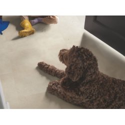 Pergo vinylflis - Aura Pad Pro - Coral Stone