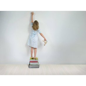 Berry Alloc Laminatgulv Plank - Light Oak