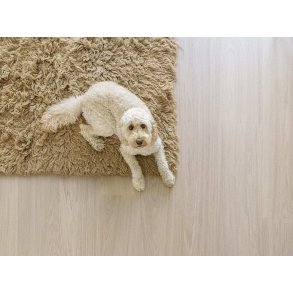 Bjelin Plankegulv - Woodura b�rstet Eg LARVIK 3.0 XXL med Powder White matlak - Bredde 206 mm