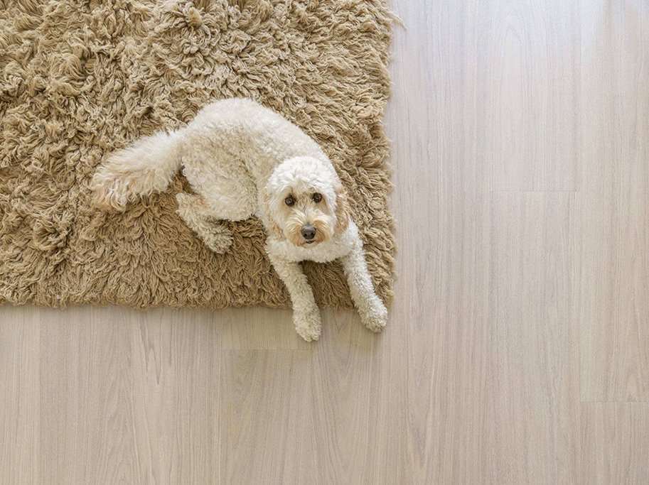 Bjelin Plankegulv - Woodura b�rstet Eg LARVIK 3.0 XXL med Powder White matlak - Bredde 206 mm