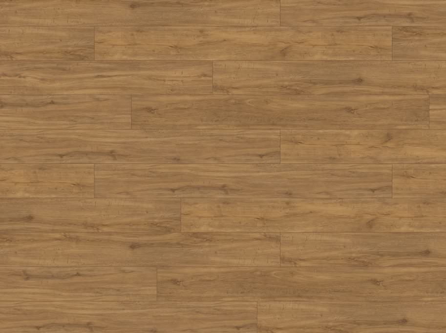 HARO Disano Classic Aqua - Bjergeg