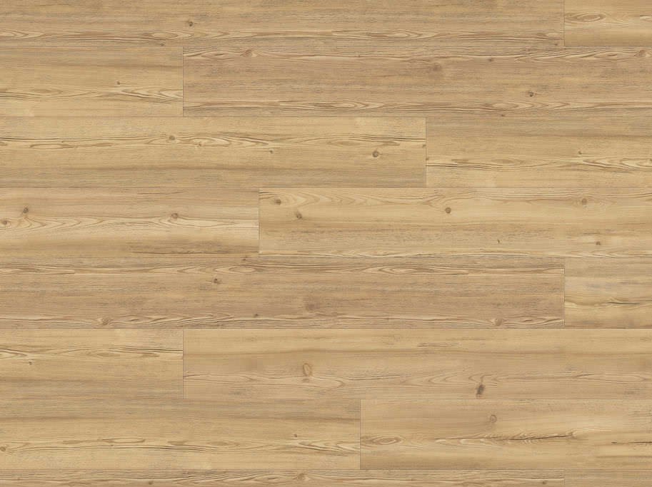 HARO Disano Classic Aqua - Bjerglrk puro