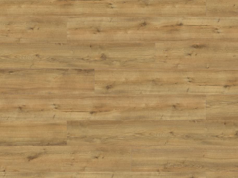 HARO Disano Classic Aqua - Eg Peak honning