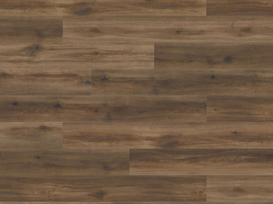 HARO Disano Classic Aqua - Eg Provence chokoladebrun