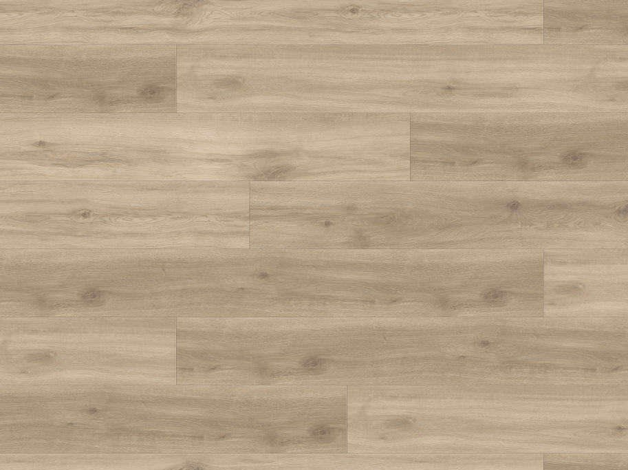 HARO Disano Classic Aqua - Eg Provence creme