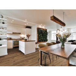 HARO Disano Classic Aqua - Eg Provence natur