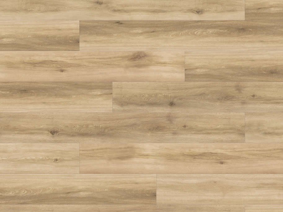 HARO Disano Classic Aqua - Eg Provence puro