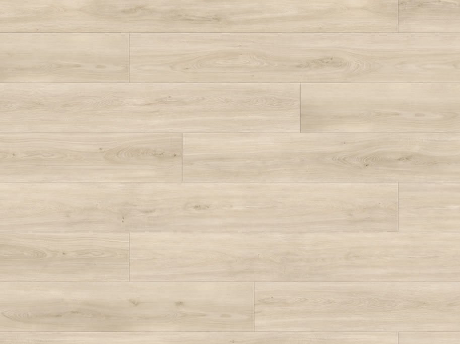 HARO Disano Classic Aqua - Eg Sheffield cremehvid