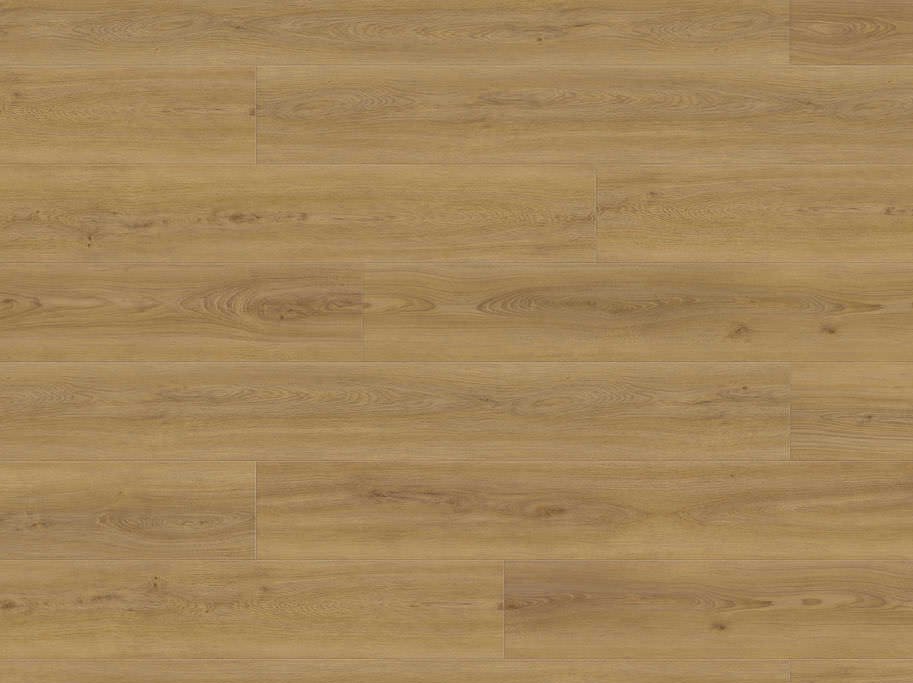 HARO Disano Classic Aqua - Eg Sheffield honning