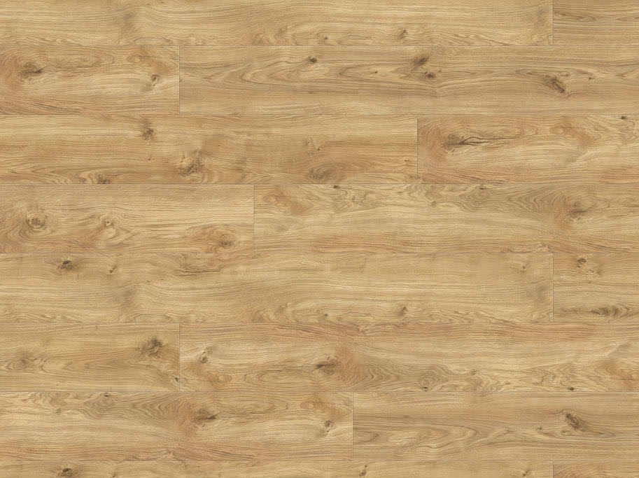 HARO Disano LifeAqua XL - Eg Phoenix