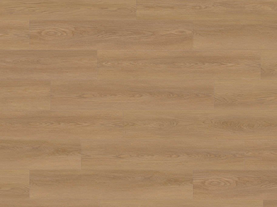 HARO Disano LifeAqua - Eg Picardie natur