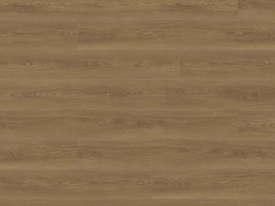 HARO Disano LifeAqua XL - Eg Picardie natur