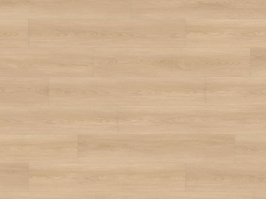 HARO Disano LifeAqua - Eg Picardie puro