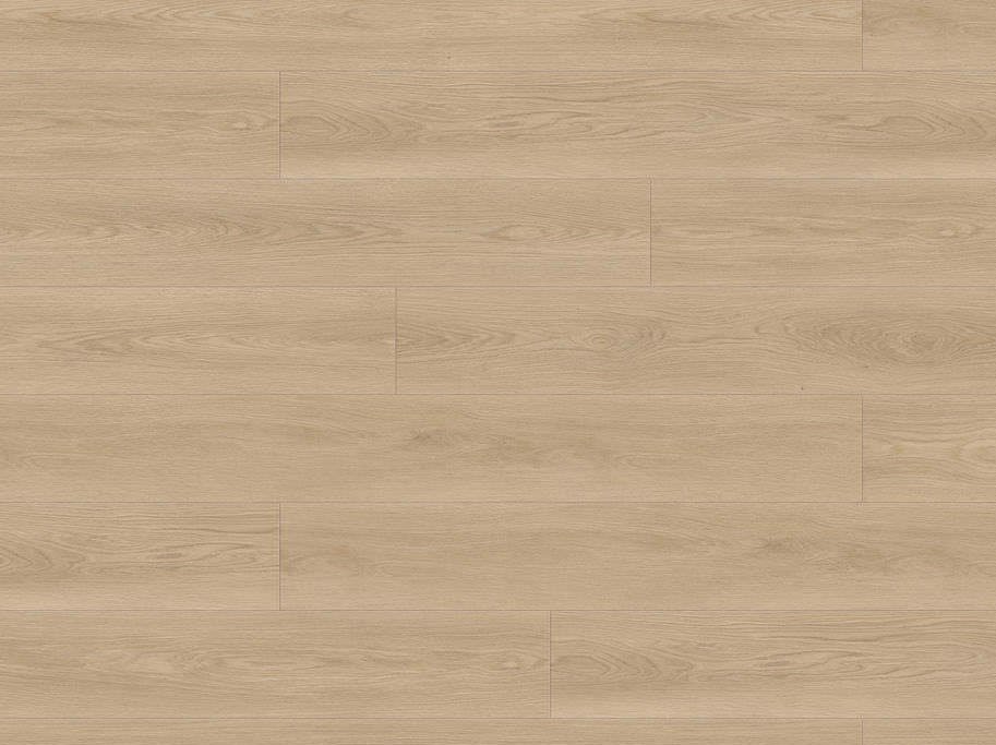 HARO Disano LifeAqua XL - Eg Picardie puro