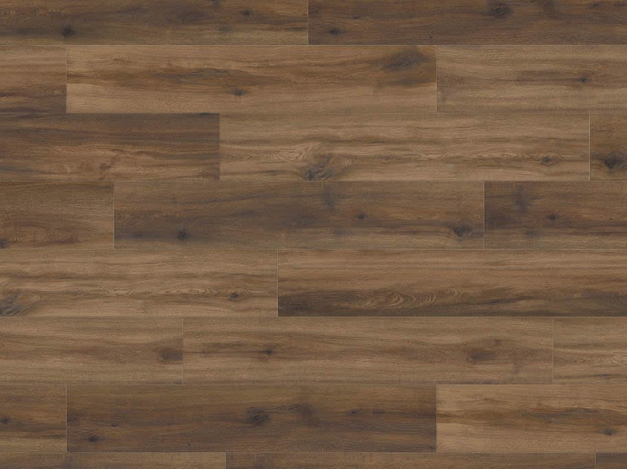 HARO Disano LifeAqua - Eg Provence chokoladebrun