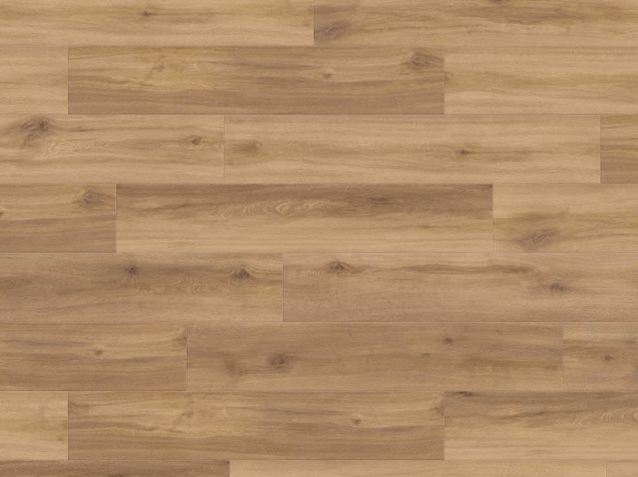 HARO Disano LifeAqua - Eg Provence natur