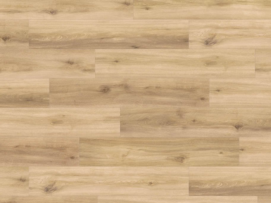 HARO Disano LifeAqua - Eg Provence puro