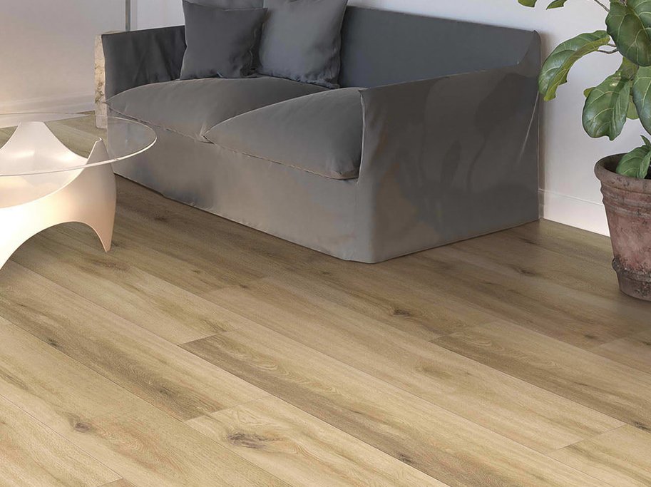 HARO Disano LifeAqua - Eg Provence puro