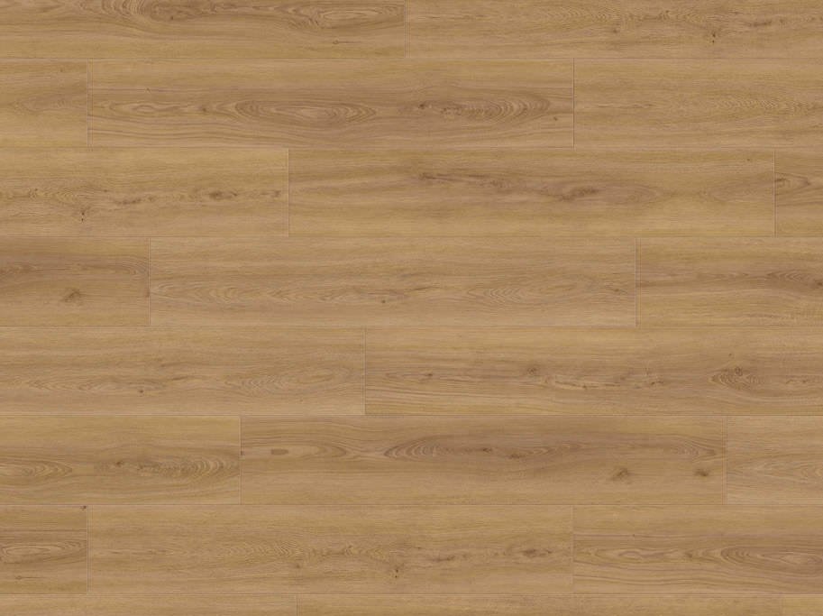 HARO Disano LifeAqua - Eg Sheffield honning