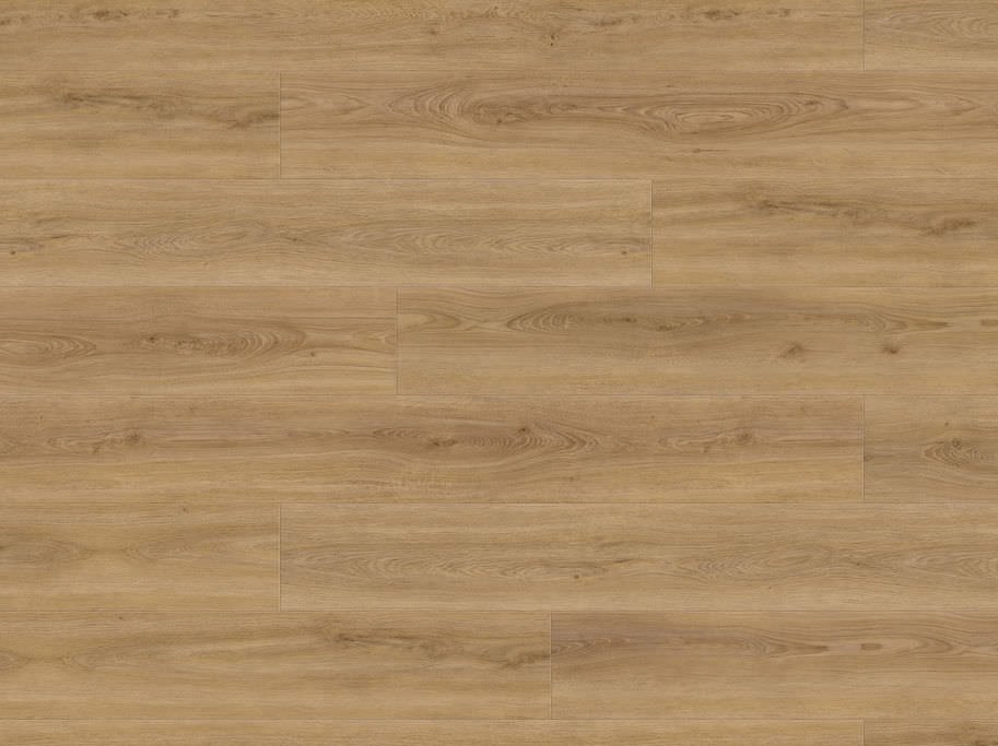 HARO Disano LifeAqua XL - Eg Sheffield natur