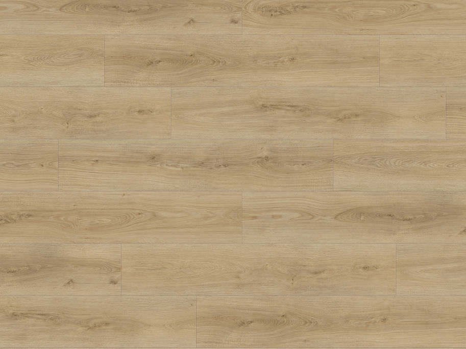 HARO Disano LifeAqua - Eg Sheffield puro