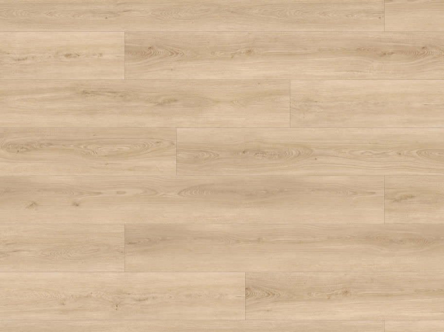 HARO Disano LifeAqua XL - Eg Sheffield puro