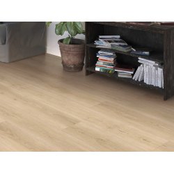 HARO Disano LifeAqua XL - Eg Sheffield puro