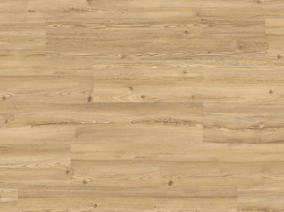 HARO Disano Project - Bjerglrk puro