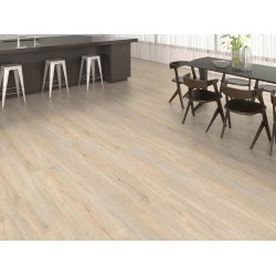 HARO Disano Project - Eg Jubil