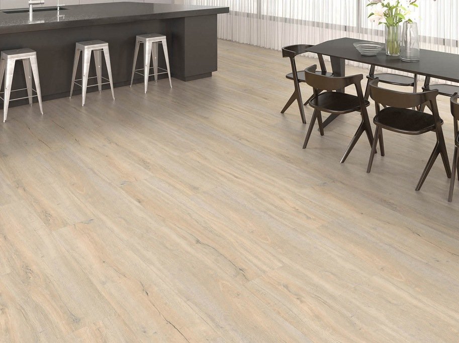 HARO Disano Project - Eg Jubil