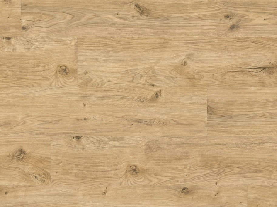 HARO Disano Project - Eg Phoenix