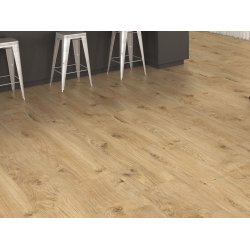 HARO Disano Project - Eg Phoenix