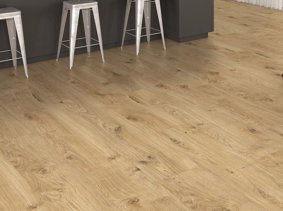 HARO Disano Project - Eg Phoenix