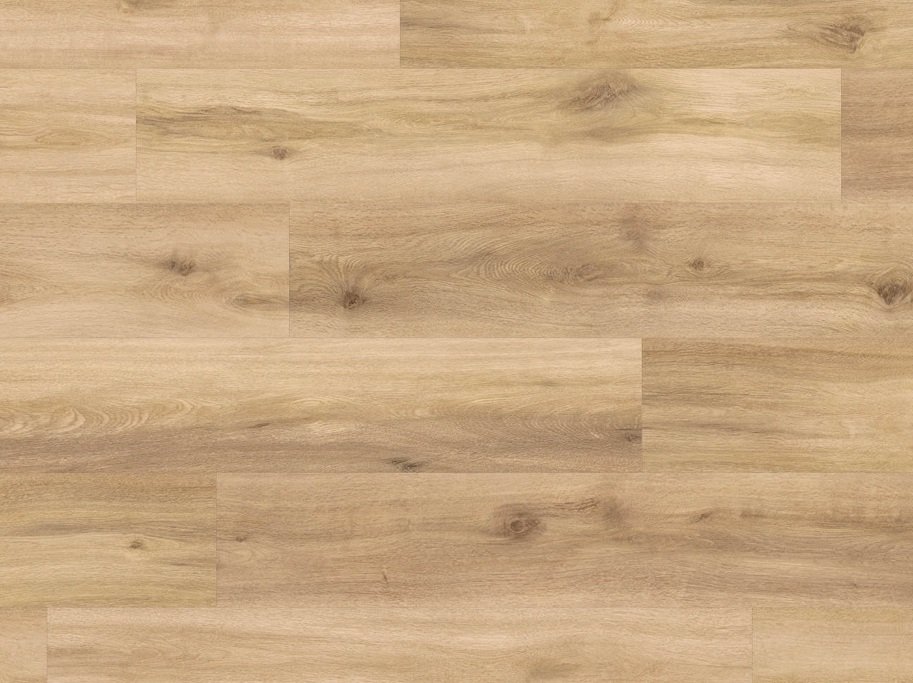 HARO Disano Project - Eg Provence puro