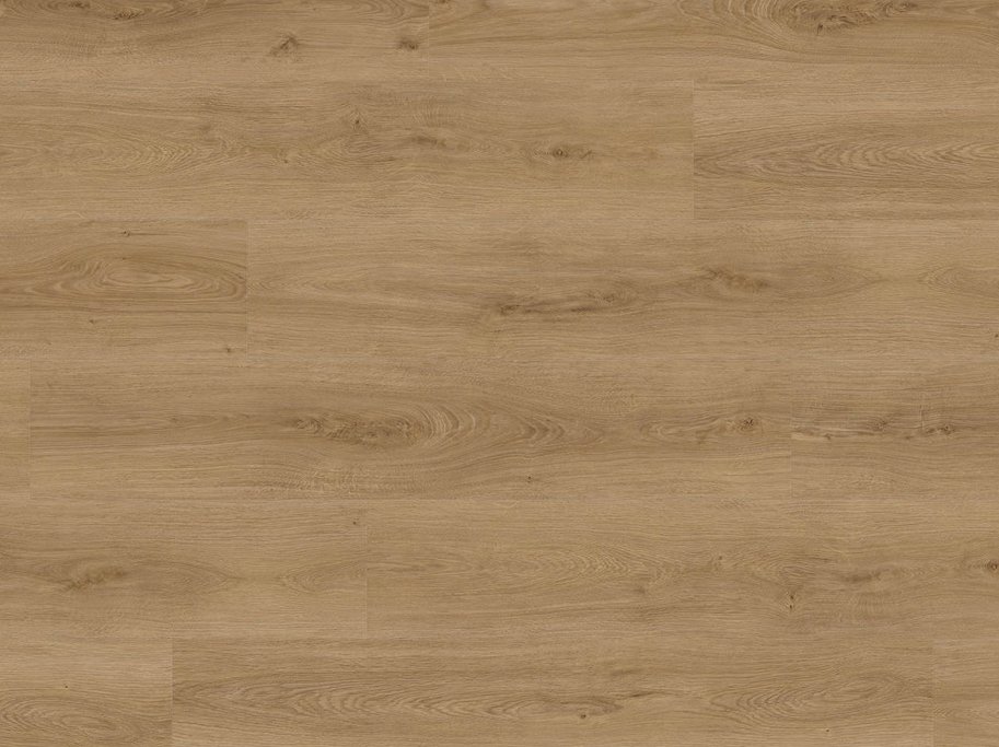 HARO Disano Project - Eg Sheffield natur