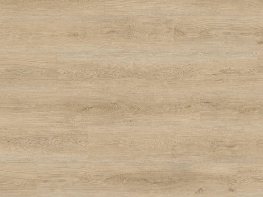 HARO Disano Project - Eg Sheffield puro