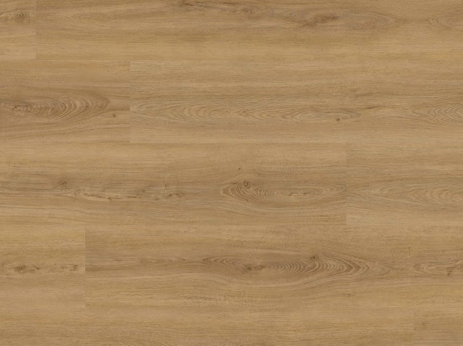 HARO Disano Project - Eg Sheffield honning