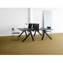 Ege Contra Tppefliser - Mustard