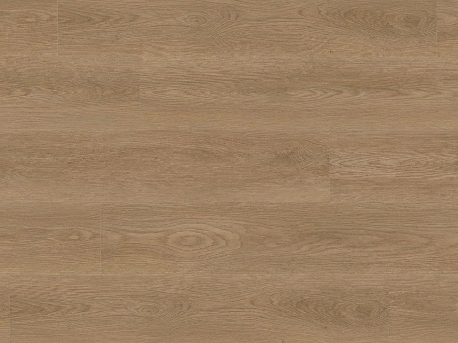 HARO Disano Project - Eg Picardie Natur