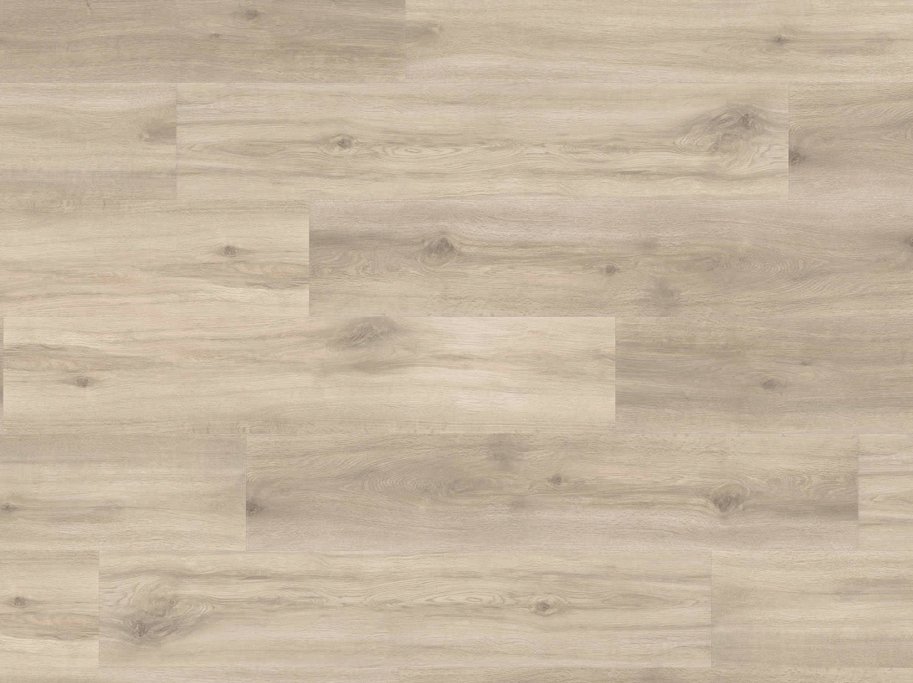 HARO Disano Project - Eg Provence Creme