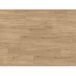 HARO Disano Project - Sandeg