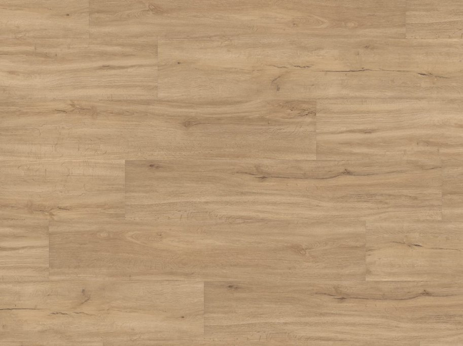 HARO Disano Project - Sandeg