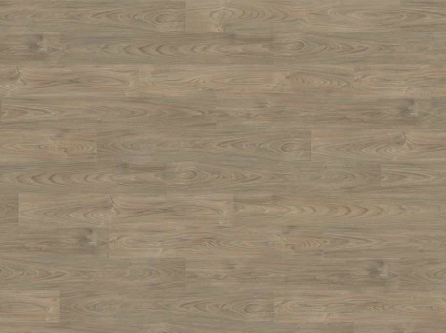 HARO Laminatgulv Plank - Elm Vario