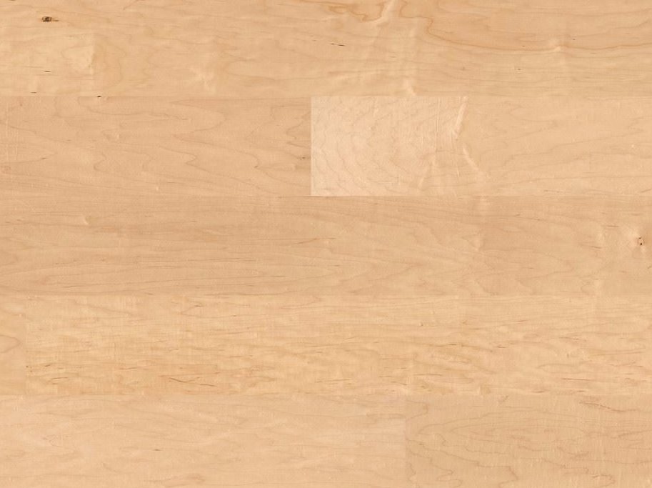 HARO Plankegulv - Canadisk Ahorn Markant med naturaDur matlak - Bredde 180 mm