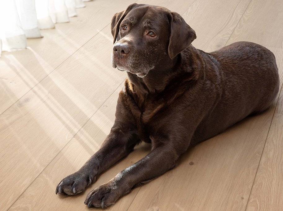 Coretec XL-END Vinylplank - Kylemore