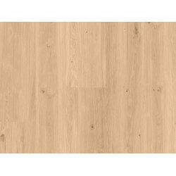 Coretec XL-END Vinylplank - Kylemore