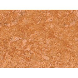 Linoleum Klick Plus - Caramel