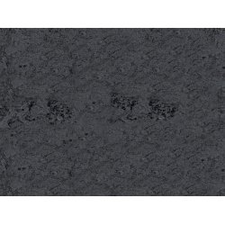 Linoleum Klick Plus - Gala