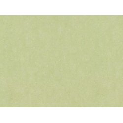 Linoleum Klik Plus - Primavera